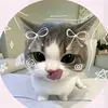 jeanaorthega