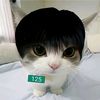 doshi_won