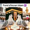 user2260172549387