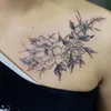 userhoabingan3