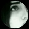 alnori..m