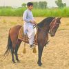 mian.muhammad878