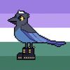 clever_corvidae