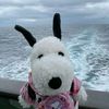 its_adrianaap