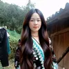 giongmi2002