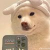user20071830