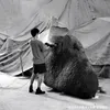 gwqwchw