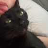 paislees.spammy