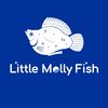 Little Molly Fish