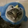 quin_10