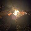 stevie_mat1