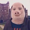 bazevelyn