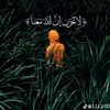 kamel.ahmed969