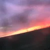lena_20342