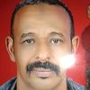 user94832462606817