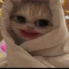 hihi46738