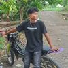 avil1038