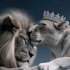 shaista.khan442