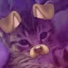 bobrxxk_3