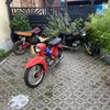 jakob248233