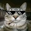 thegoatdhino7