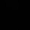 bodrexdsini