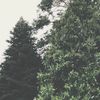str4raraa_00
