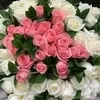 ionel.ionel169
