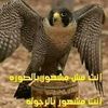user3822149824323