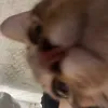 ngann.nguyen5