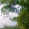 md.sumon.islam.017570