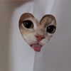 cat12396836