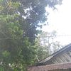 tanjung5178