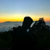 bolet.story