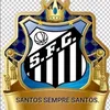 jose.loureno227