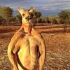 nicolas.meja7