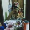 a_cheeeee7