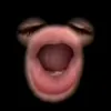 0liver_malcobo_