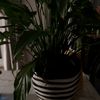 houda.saouan