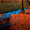 ahmad_majlmaxty