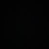 songvibes401