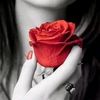 user4909814104526