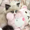 _dollylqve