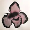 userrr__261