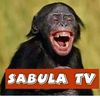 Sabula TV