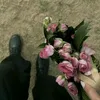 11_smsm0