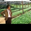 agrocofe