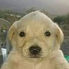 santi_878821