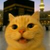 rizky.lana7