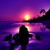 lucas_white02